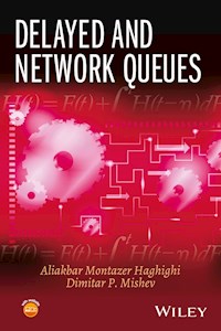 Delayed and Network Queues - Aliakbar Montazer Haghighi - E-Book