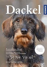 Dackel - Heike Schmidt-Röger - E-Book