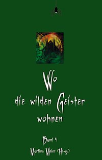 Wo die wilden Geister wohnen - Martina Meier - E-Book