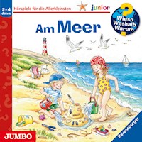 Am Meer [Wieso? Weshalb? Warum? JUNIOR Folge 17] - Andrea Erne - Hörbuch