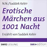 Erotische Märchen aus 1001 Nacht - Various Artists - Hörbuch