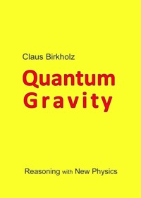 Quantum Gravity - Claus Birkholz - kostenlos E-Book