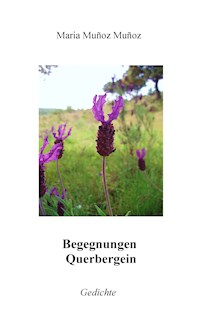 Begegnungen Querbergein - Maria Muñoz Muñoz - E-Book