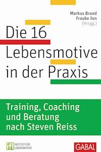 Die 16 Lebensmotive in der Praxis -  - E-Book