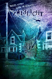 Zwielicht 13 - Achim Hildebrand - E-Book