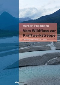 Vom Wildfluss zur Kraftwerkstreppe - Herbert Friedmann - E-Book