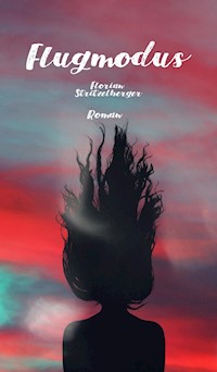 Flugmodus - Florian Stritzelberger - E-Book