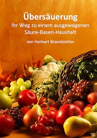 Übersäuerung - Herbert Brandstetter - E-Book