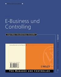 E-Business und Controlling - Jürgen Weber - E-Book