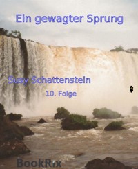 Ein gewagter Sprung - Susy Schattenstein - E-Book