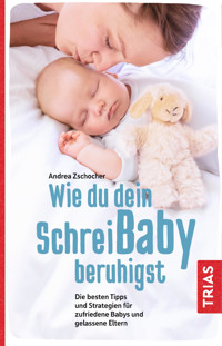 Wie du dein Schreibaby beruhigst - Andrea Zschocher - E-Book