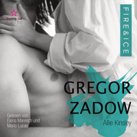 Gregor Zadow - Band 6.5 - Fire&Ice (ungekürzt) - Allie Kinsley - Hörbuch