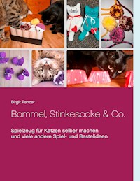 Bommel, Stinkesocke & Co. - Birgit Panzer - E-Book