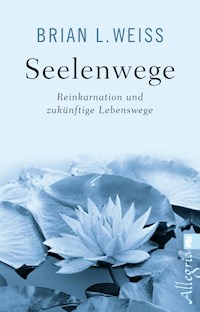 Seelenwege - Brian L. Weiss - E-Book