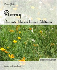 Benny - Kerstin Herbig - E-Book