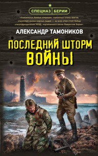Последний шторм войны - Тамоников Александр - E-Book
