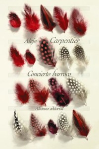 Concierto barroco - Alejo Carpentier - E-Book