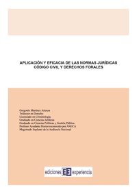 Aplicación y eficacia de las normas jurídicas - Gorgonio Martínez Atienza - E-Book