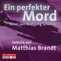 Krimi to go: Ein perfekter Mord - Wolfgang Schorlau - Hörbuch