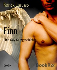 Finn - Patrick Larusso - E-Book
