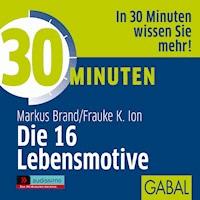30 Minuten Die 16 Lebensmotive - Markus Brand - Hörbuch