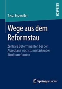Wege aus dem Reformstau - Tasso Enzweiler - E-Book
