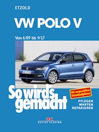 VW Polo ab 6/09 - Rüdiger Etzold - E-Book