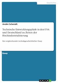 Technische Entwicklungspfade in den USA und Deutschland zu Zeiten der Hochindustrialisierung - André Schmidt - E-Book