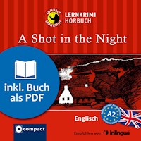 A Shot in the Night - Andrew Ridley - Hörbuch