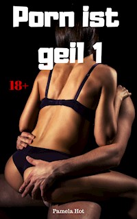 Porn ist geil 1 - Pamela Hot - E-Book