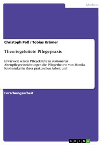 Theoriegeleitete Pflegepraxis - Christoph Poß - E-Book