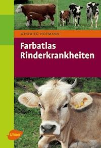 Rinderkrankheiten - Winfried Hofmann - E-Book