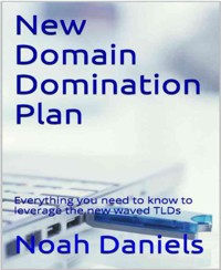 New Domain Domination Plan - Noah Daniels - E-Book