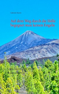 Auf dem Weg durch die Hölle begegnet man keinen Engeln - Gabriele Meerts - E-Book