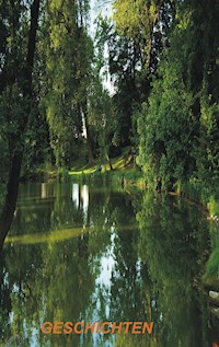 Lebensgeschichten - Geschichten, die das Leben schrieb - Günter Richter - E-Book