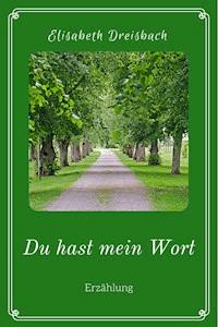 Du hast mein Wort - Elisabeth Dreisbach - E-Book