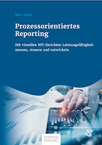 Prozessorientiertes Reporting - Marc Opitz - E-Book