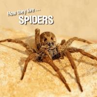 How they live... Spiders - David Withrington - E-Book