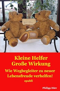Kleine Helfer Große Wirkung - Philipp Dörr - E-Book