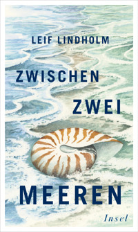 Zwischen zwei Meeren - Leif Lindholm - E-Book