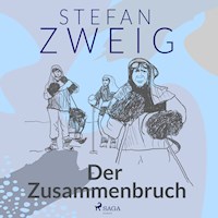 Der Zusammenbruch - Zweig Stefan - Hörbuch