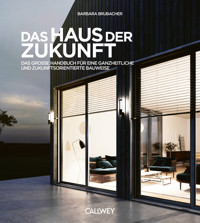 Das Haus der Zukunft - Barbara Brubacher - E-Book