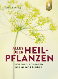 Alles über Heilpflanzen - Ursel Bühring - E-Book