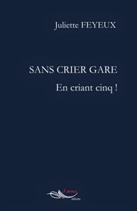 Sans crier gare - Juliette Feyeux - E-Book