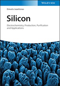 Silicon - Eimutis Juzeliunas - E-Book