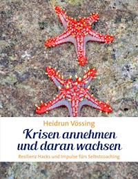 Krisen annehmen und daran wachsen - Heidrun Vössing - E-Book