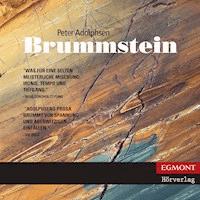 Brummstein (ungekürzt) - Peter Adolphsen - Hörbuch