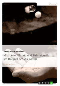 Mitarbeiterführung und Führungsstile am Beispiel der xxx GmbH - Sandra Schumacher - E-Book