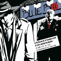 Richard Diamond Privatdetektiv Fall 11 & 12 - Blake Edwards - Hörbuch