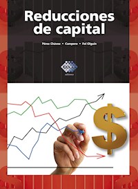 Reducciones de capital 2016 - José Pérez Chávez - E-Book